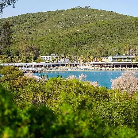 度假村 Bay &