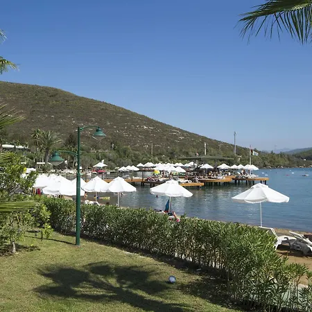 Bay & Resort