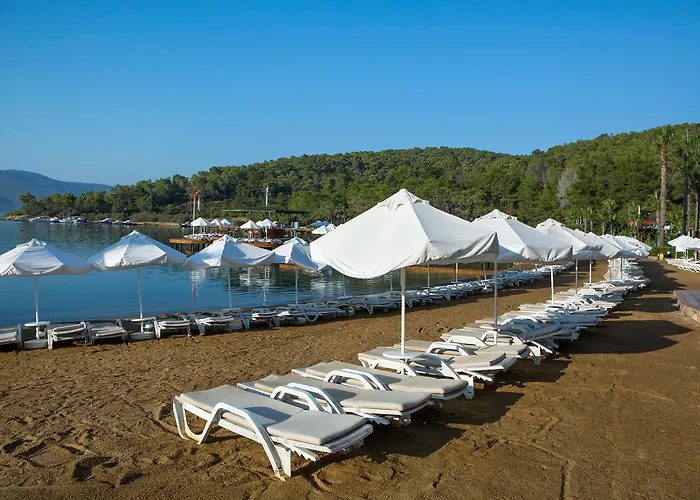 Θέρετρο Bay &