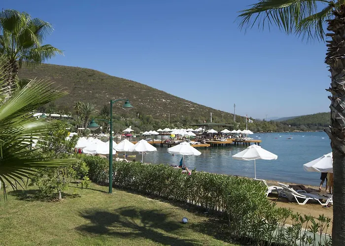 Bay & Θέρετρο